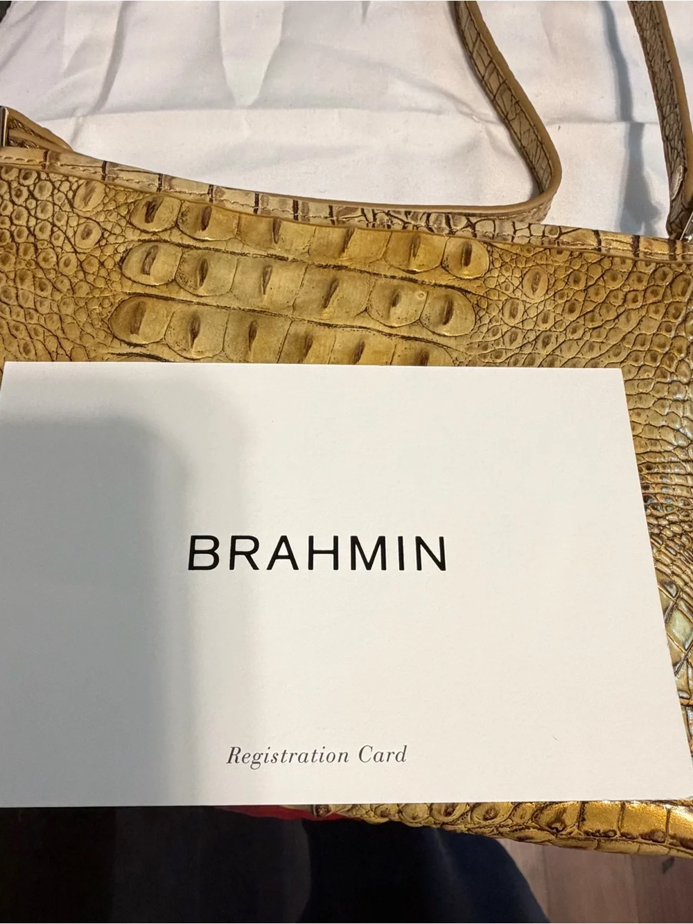 NWT Brahmin small Shoulder Bag